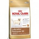 LABRADOR RETRIEVER ADULT 3 KG.