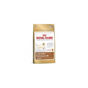 LABRADOR RETRIEVER ADULT 3 KG. LABRADOR RETRIEVER ADULT 3 KG.