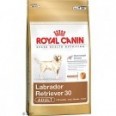 LABRADOR RETRIEVER ADULT 3 KG.