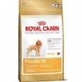 CANICHE ADULT 1,5 KG.