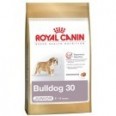 BULLDOG JUNIOR 3 KG.