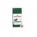 MINI DERMACOMFORT 4 KG.