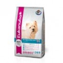 WHEST HIGHLAND TERRIER 7,5 KG.