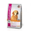 GOLDEN RETRIEVER 12 KG.