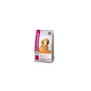 GOLDEN RETRIEVER 12 KG. GOLDEN RETRIEVER 12 KG.