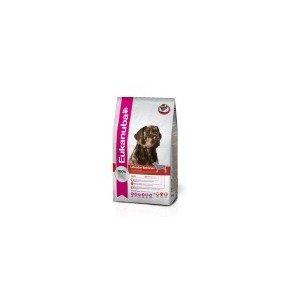 LABRADOR RETRIEVER 2,5 KG. LABRADOR RETRIEVER 2,5 KG.