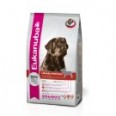 LABRADOR RETRIEVER 12 KG.