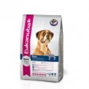 BOXER 2,5 KG.