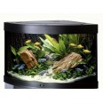 ACUARIO JUWEL TRIGON 190L. 