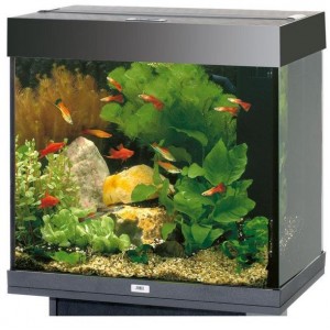 ACUARIO JUWEL LIDO LED 120L. 