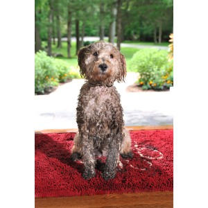 NOVEDAD. ALFOMBRA DIRTY DOG DOORMAT