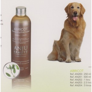 CHAMPU BRILLO Y COLOR ABRICOT ANJU BEAUTE CHAMPU BRILLO Y COLOR ABRICOT ANJU BEAUTE