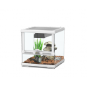 TERRARIUM SMART LINE 30X30X45 DE AQUATLANTIS