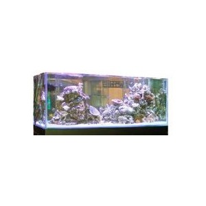 ACUARIO MARINO GRAN CUBIC 152 DE BLAU ACUARIO MARINO GRAN CUBIC 152 DE BLAU