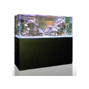 SET ACUARIO Y MESA MARINO GRAN CUBIC 62 DE BLAU