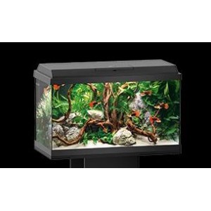 ACUARIO JUWEL PRIMO 60 LED