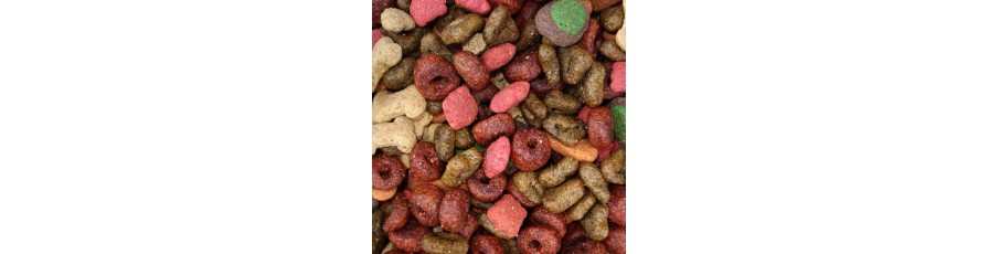 Comida y pienso para perros Comida y pienso para perros