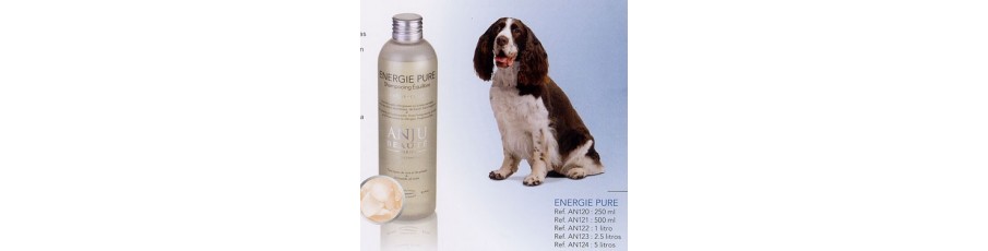 Champú ANJU BEAUTE Champú ANJU BEAUTE