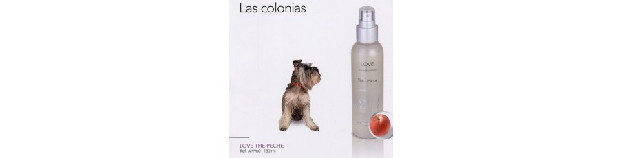  Colonias ANJU BEAUTE