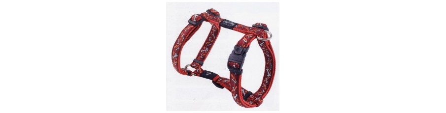 Correas, collares y arneses para perros Correas, collares y arneses para perros
