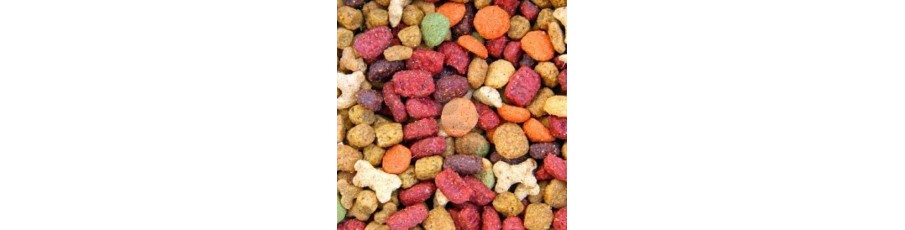Comida y pienso para gatos Comida y pienso para gatos
