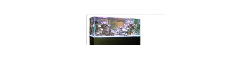acuario GRAN CUBIC acuario GRAN CUBIC