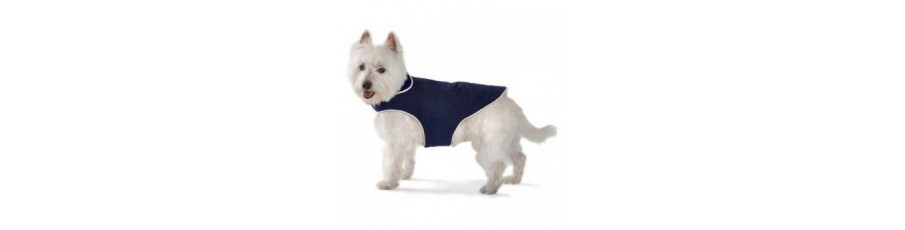 Ropa perros Ropa perros