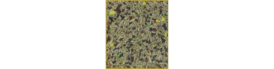 Witte Molen Mixturas para aves