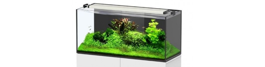 Acuario aquatlantis LANDSCAPE Acuario aquatlantis LANDSCAPE