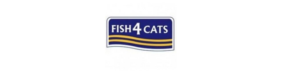 Fish 4 Cats