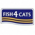 Fish 4 Cats